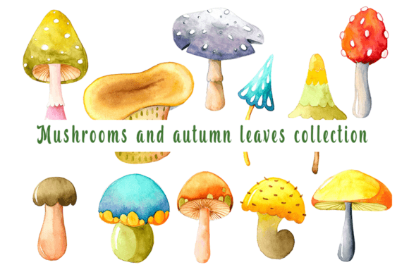 Mushrooms and Autumn Leaves Collection: A Strategic Design Asset for Creative Professionals