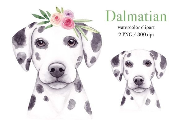 Watercolor Dalmatian PNG: A Strategic Asset for Creative and Professional Projects
